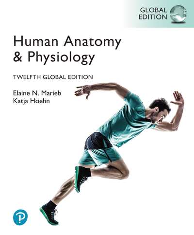 Human Anatomy & Physiology, Global Edition